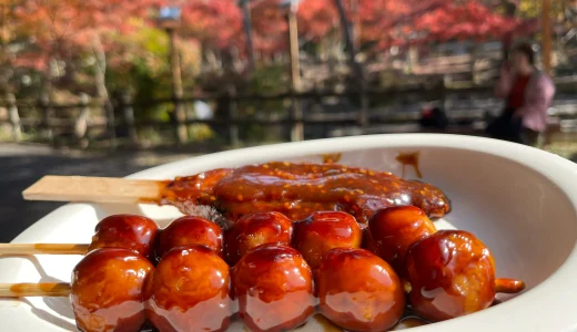 【瀬戸】紅葉の岩屋堂公園へ｜老舗サカエ食堂のみたらし団子と五平餅