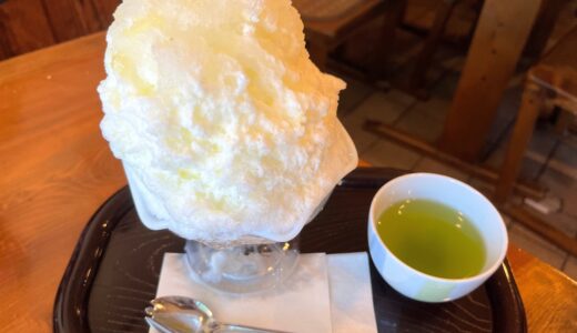愛知・蒲郡市 / 和菓子屋さんが作るかき氷が絶品「秀月堂（しゅうげつどう）」
