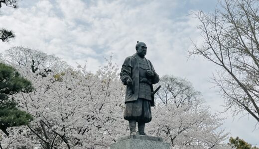 リニューアルした「岡崎城」で桜まつりが開催！