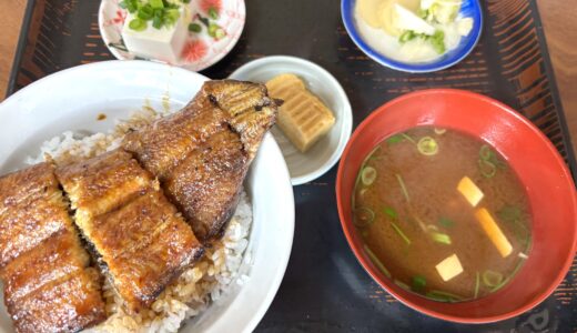 刈谷市 / 隠れ家的な定食屋「喜泉」でほっこりランチ