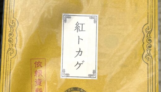 ヒントあり！明治村謎解き2025【Scoop04 〜紅トカゲ〜】に挑戦！